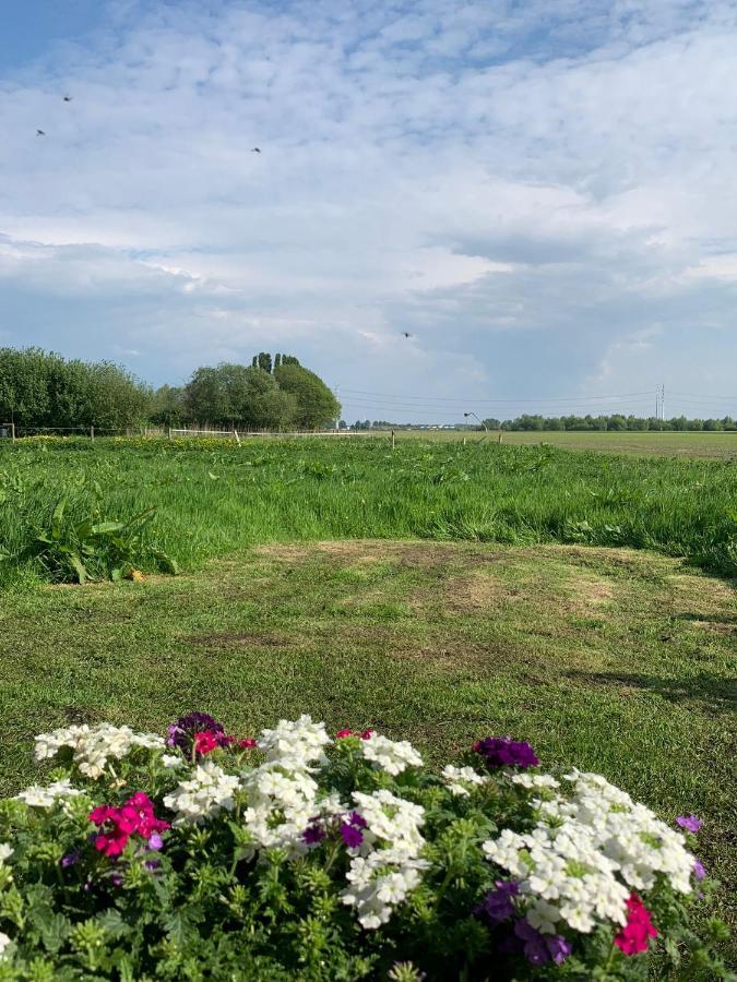 Fields 1216 Zwaanshoek Exterior foto